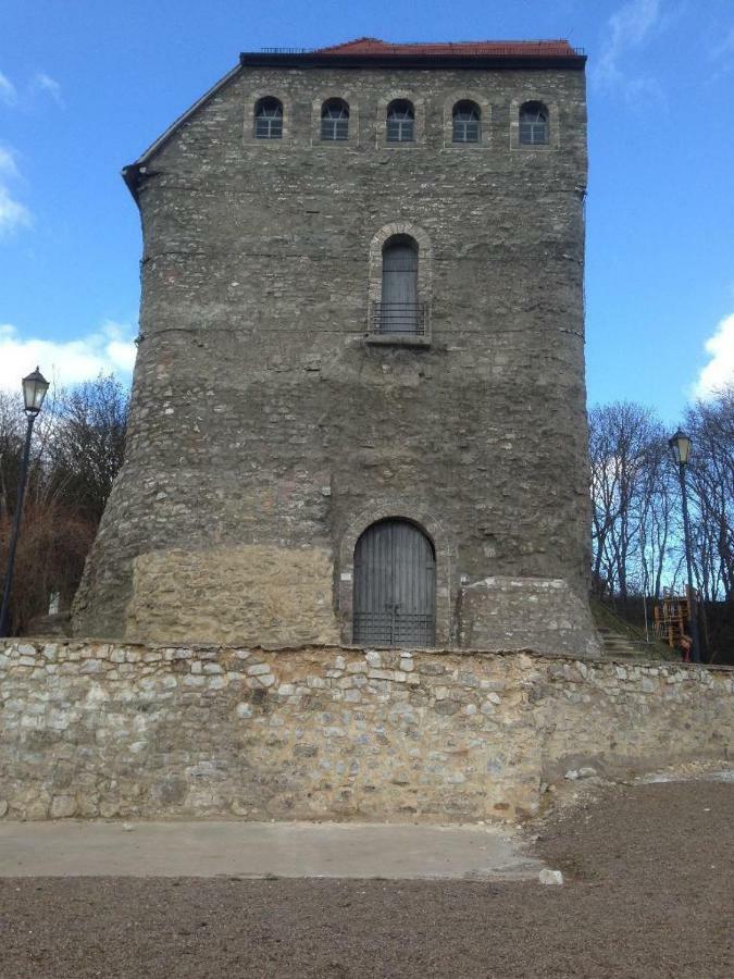 Apartamento Ratstrasse Im Kyffhaeuser - Krumm & Schief Bad Frankenhausen Exterior foto